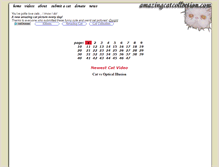 Tablet Screenshot of amazingcatcollection.com